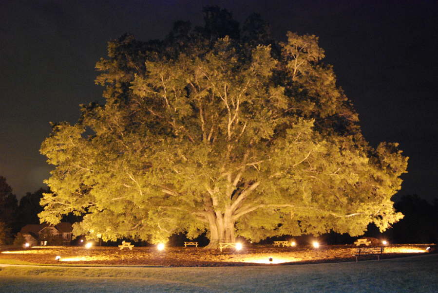 landscape lighting outdoor contracting landscape lighting outdoor contracting